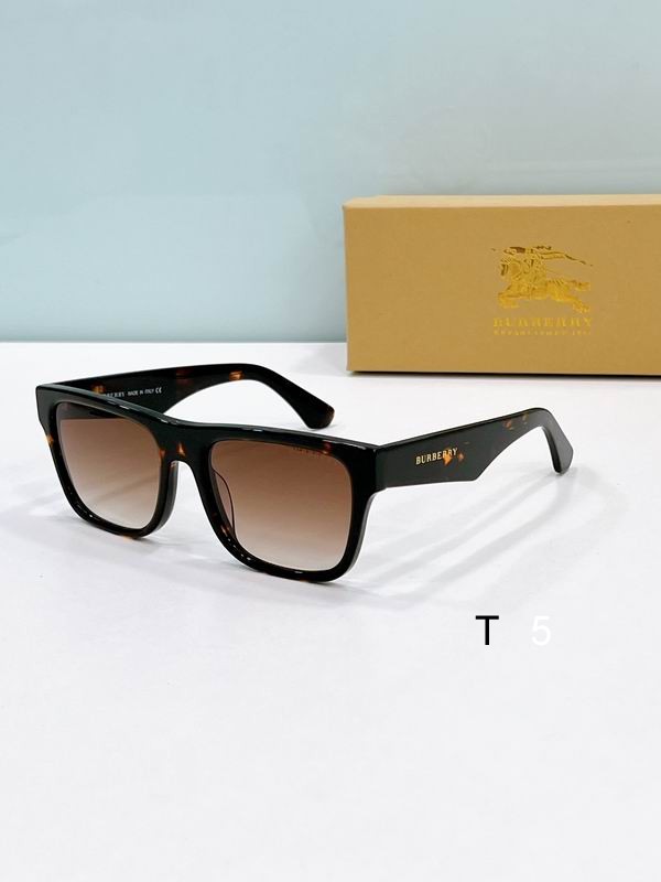 Burberry Sunglasses ID:20250529-103